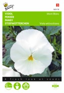 Pansy Swiss Giant Mont Blanc Seeds